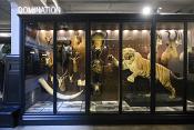 manchester museum 9-2023 8826